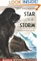 Star in the Storm (Aladdin Historical Fiction)