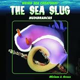 The Sea Slug: Nudibranchs (Weird Sea Creatures)