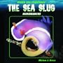 The Sea Slug: Nudibranchs (Weird Sea Creatures)