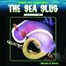 The Sea Slug: Nudibranchs (Weird Sea Creatures)