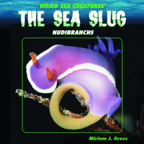 The Sea Slug: Nudibranchs (Weird Sea Creatures)