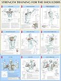 Strength Training Anatomy: Strength Training for the Shoulders Poster
