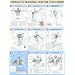 Shoulders Poster (Strength Training Anatomy)