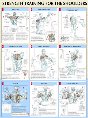 Strength Training Anatomy: Strength Training for the Shoulders Poster