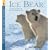 Ice Bear: Read and Wonder: In the Steps of the Polar Bear