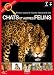 Dorling Kindersley - Encyclopédie des chats et autres félins Dorling Kindersley - Encyclopédie des chats et autres félins