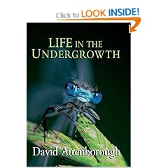 Life in the Undergrowth