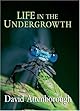 Life in the Undergrowth