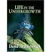 Life in the Undergrowth