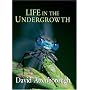 Life in the Undergrowth