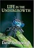 Life in the Undergrowth