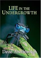 Life in the Undergrowth