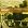 Mozart: Piano Concertos 20, 23, 24 & 25