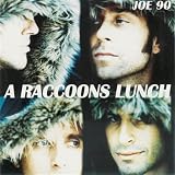 A Raccoons Lunch