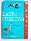 Last of the curlews;