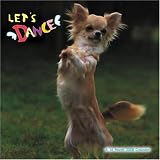 Let's Dance 2008 Wall Calendar