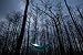 Kammok Roo Double Camping Hammock