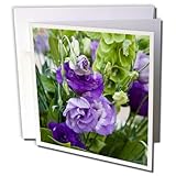 Danita Delimont - Julie Eggers - Flowers - Portugal, Aveiro. Bouquet of Godetia and Bells of Ireland. - 12 Greeting Cards with envelopes (gc_188626_2)