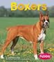 Boxers (Dogs (Pebble))