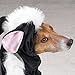 Casual Canine Lil' Stinker Dog Costume, X-Large (fits lengths up to 24