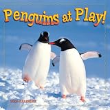 Penguins at Play 2009 Calendar
