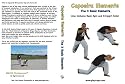 Capoeira Elements: The 3 Basic Elements