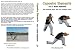 Capoeira Elements: The 3 Basic Elements