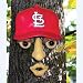 St. Louis Cardinals Forest Face