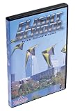 Dodd Gross Flight School Kite DVD