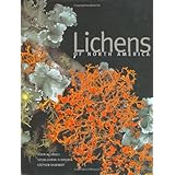 lichens of north america