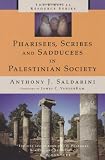 Pharisees, Scribes and Sadducees in Palestinian Society (Biblical Resource)