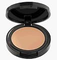 Avon mark Invisible Touch Perfecting Concealer Fair