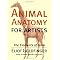 PAFA Animal Drawing
