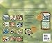 Lang 2017 Cats in The Country Wall Calendar, 13.375 x 24 inches (17991001899)