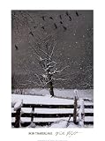 Winter Flight Art Poster Print by Bob Timberlake, 18x24