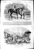 Original old antique victorian print - 