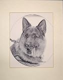 Digital Art Pencil Sketch Portrait - Turn Your Pet's Photo into a 5 x 7 Portrait (Matted 8 x 10 Ready for Framing)