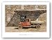 Mill Truck by Peter Sculthorpe 20"x30" Art Print Poster