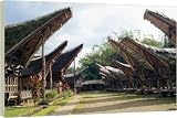 Toraja houses and granaries - 20 Inch Canvas Print (51cm) by Robert Harding