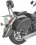 IMAGE OF Willie & Max 59536-00 Revolution Series Small Leather Hard Mount Standard Saddlebag Set