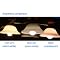 My Favorite LEd Products part1