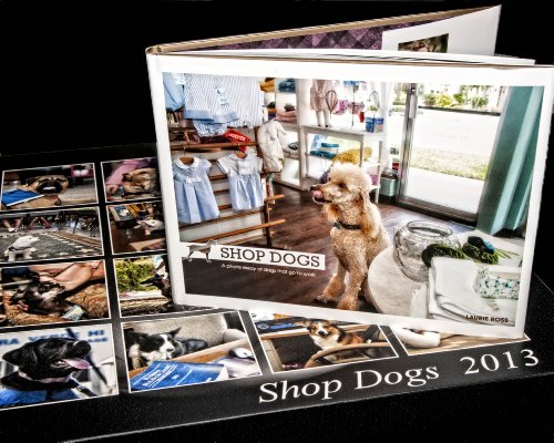 shop dogs a photo essay of dogs that go to work