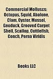 Commercial Molluscs: Octopus, Squid, Abalone, Clam, Oyster, Mussel, Geoduck, Grooved Carpet Shell, Scallop, Cuttlefish, Conch, Perna Viridi-