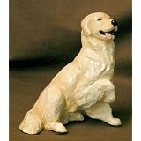 Golden Retriever by 