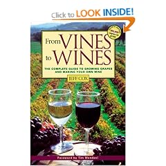 From Vines to Wines