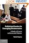 Politicized Justice in Emerging Democracies: A Study of Courts in Russia and Ukraine