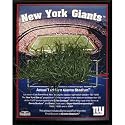 Steiner Sports NFL New York Giants Stadium Game-Used Turf Plaque