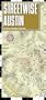 Streetwise Austin Map - Laminated City Center Street Map of Austin, Texas (Streetwise (Streetwise Maps))