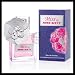 Miss Sixty MISS "Original" Eau De Toilette Perfume 50ml (1.7 Oz) EDT Spray