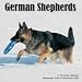 German Shepherds 2009 Wall Calendar